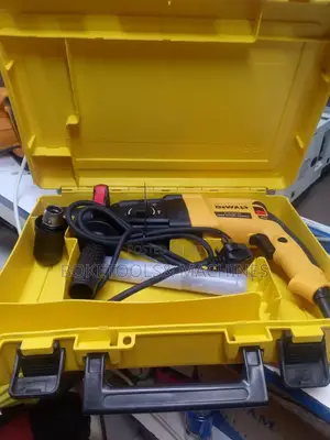 Dewalt Professional Rotary Hammer