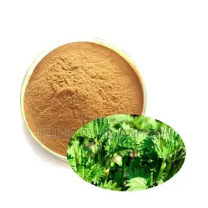 Stevia Powder 1 Kg