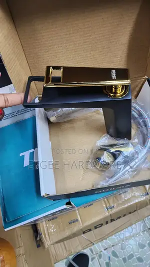 Black and Gold Basin Mixer