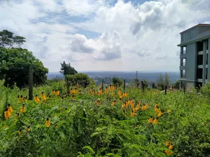 Half Acre 2nd Row Plot in Ngong Along Lemiso Rd, Scenic View