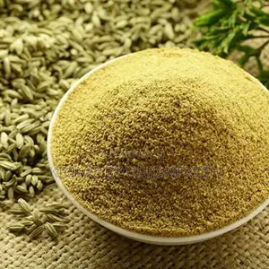 Fennel Seeds Powder 1 Kg