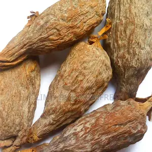 Alligator Pepper Pods 5 PCS