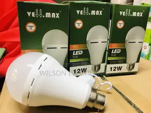 Intelligent Bulb. 12W