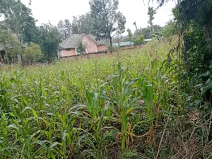 1/4 Acre for Sale in Ngong, Ololua