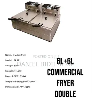 Commercial Electric Fryer 6L +6L
