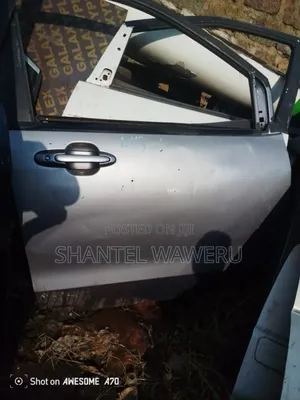 Mazda MPV 2005 Front Right Door