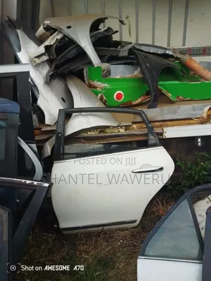 Nissan Teana Back Left Door