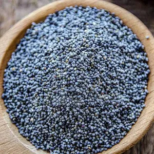 Blue Poppy Seeds