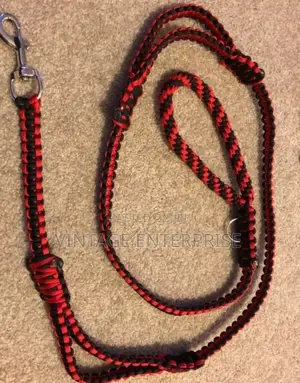 Dog Leash,Pets Dog Leash••√