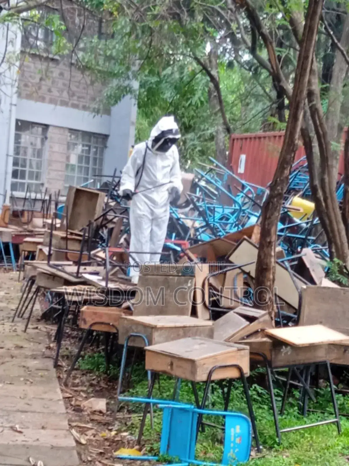 Bee's Exterminator