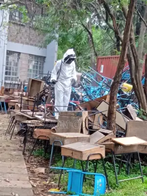 Bee's Exterminator