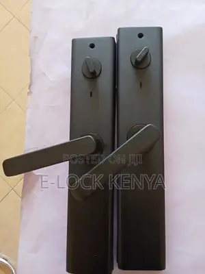 Fingerprint Locks With RFID Access