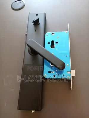 Biometric Locks With RFID Cards