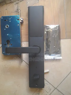 Biometric Locks With Online Passcodes
