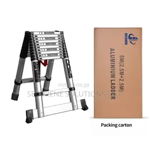 2.5m a Frame 5.0 Full Extension Double Telescopic Ladder