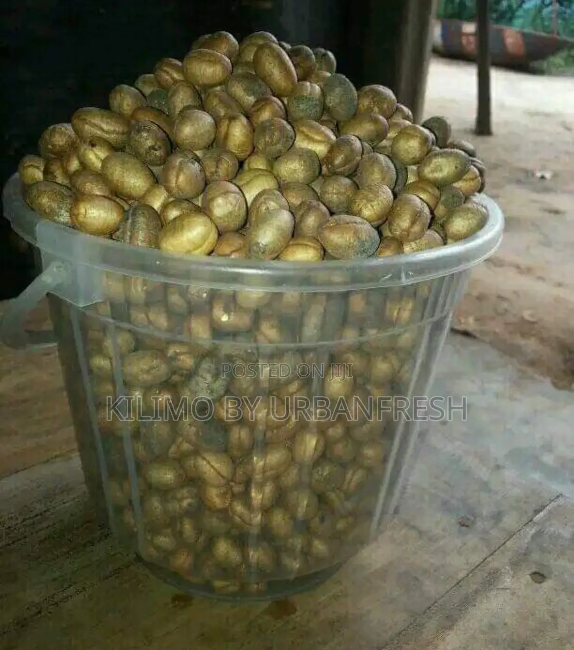 Ashok Seeds 1 Kg