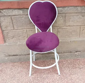 Elegant Love Salon Chair