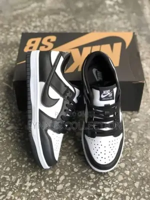 Sb Dunk Black and White