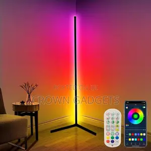 Minimalist Corner Dimmable Floor Lamp With Remote Control
