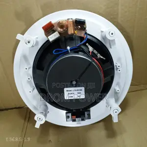 Drom Ceiling Speaker 8" LTH 8318S