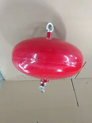 6kg Automatic Dcp Fire Extinguisher.