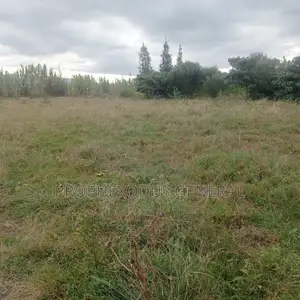 50ft by 100ft Plots for Sale in O/Rongai Rimpa Kandisi Police Station