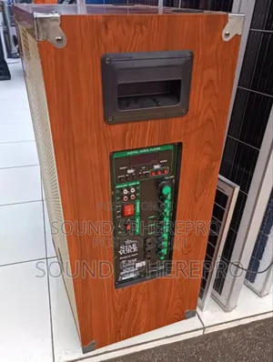 Star Voice 15 Inch Powered Speaker