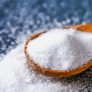 MSM Powder 100g