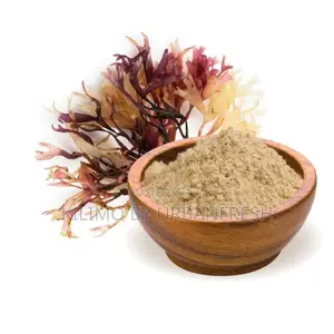 Seamoss Powder 1 Kg