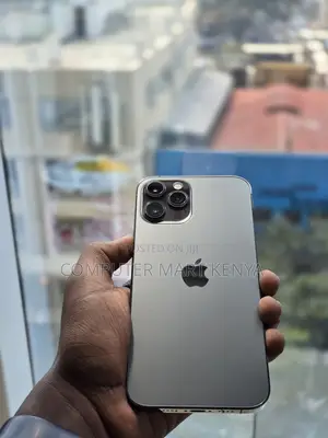 Apple iPhone 12 Pro Max 128 GB Gray
