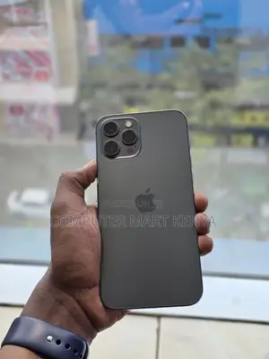 Apple iPhone 12 Pro Max 128 GB Gray