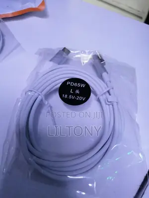 Type C to Magsafe 1 Cable 65W