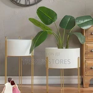 2 Set of White Planters With Gold Stand