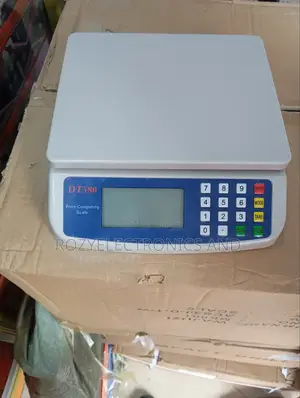 Dt580 Price Computing Scale