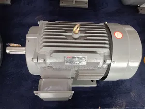 20HP Motor