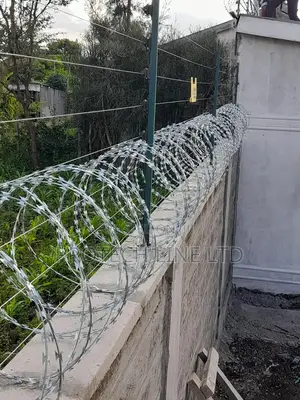 Electric Fencing With Razor Barbed Wire