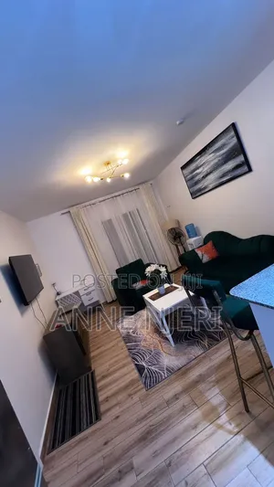 Cozy 2 Bedroom Airbnb Available in Tatu City at 7500 Per Day