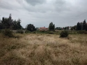 Sabaki Plot for Sale