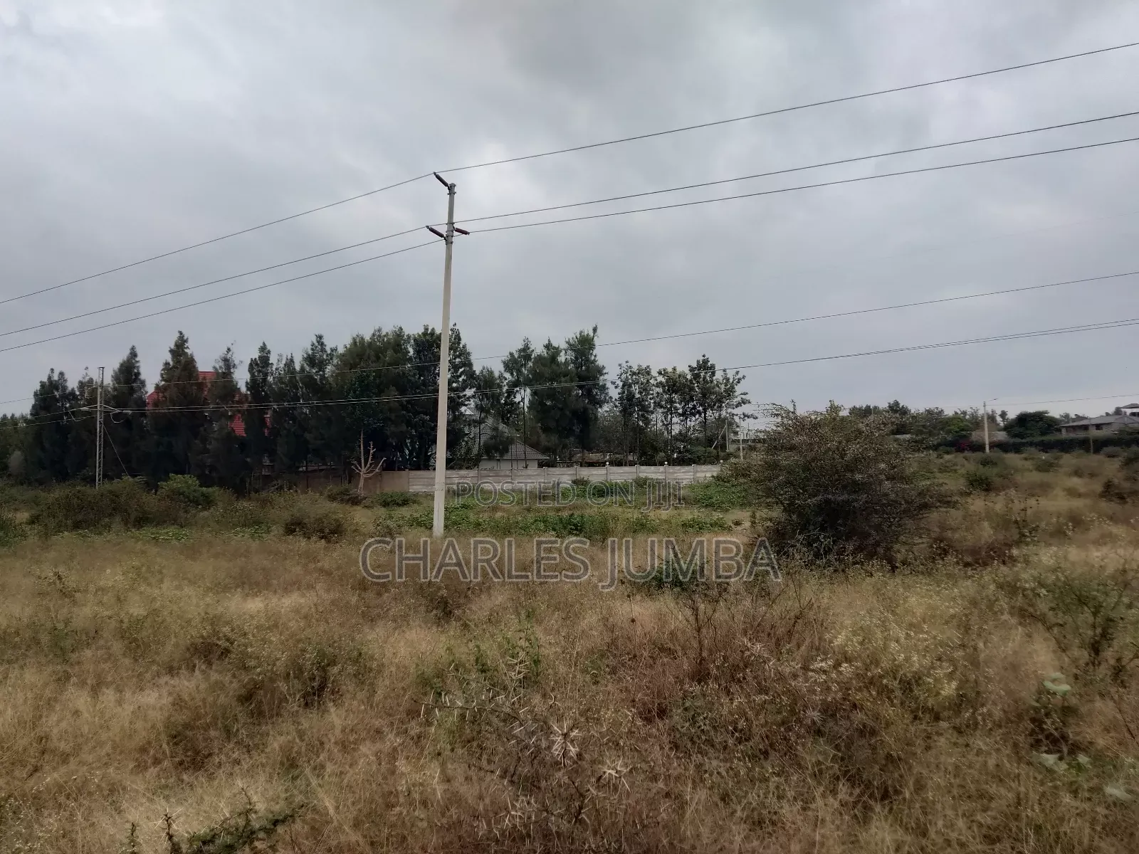 Sabaki Plot for Sale