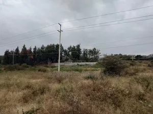 Sabaki Plot for Sale