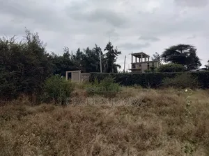 Sabaki Plot for Sale