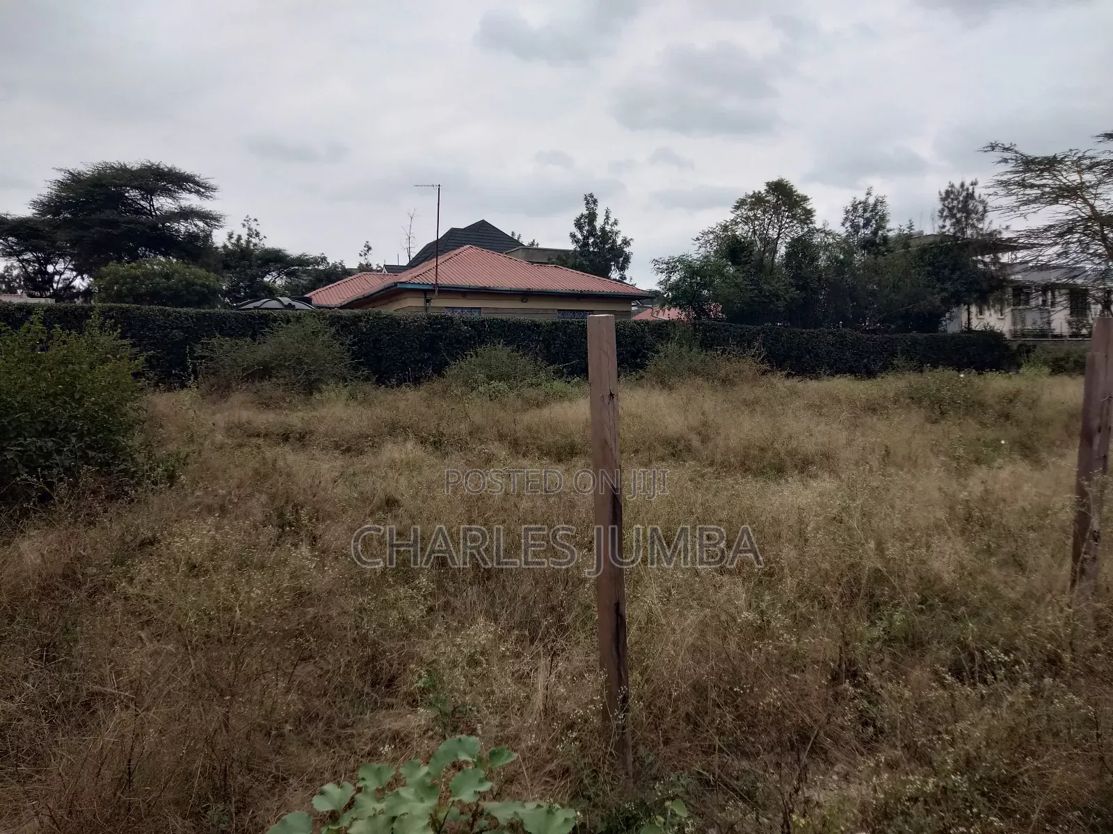 Sabaki Plot for Sale