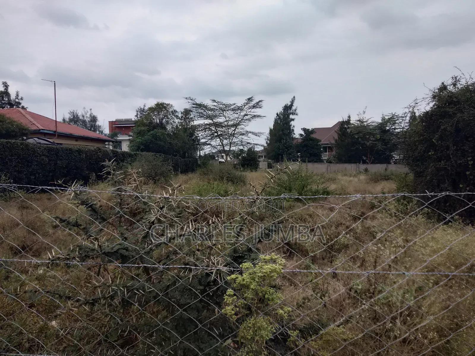 Sabaki Plot for Sale
