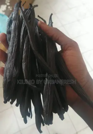 Vanilla Pods 500g Grade A