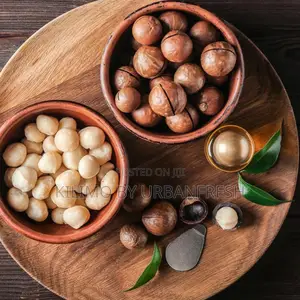Macadamia Roasted Nuts for Consumption 1kg