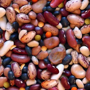 Mixed Beans 1 Kg