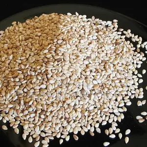 Sesame Planting Seeds (Simsim) 10
