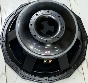 Nr-Pd1890 152mm /6” Voice Coil 300mm Double Magnet Speaker