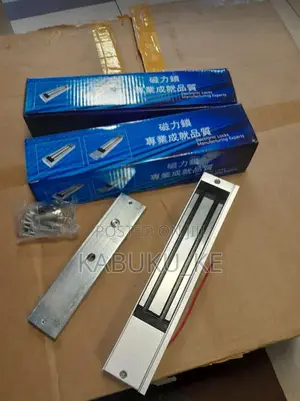 Electromagnetic Locks
