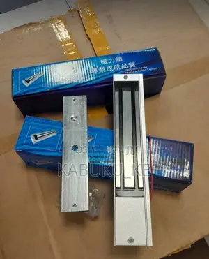 Magnetic Lock(Maglock) for Access Control